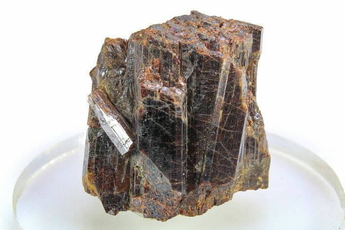 Lustrous, Red-Brown Rutile Crystals - Québec, Canada #297107